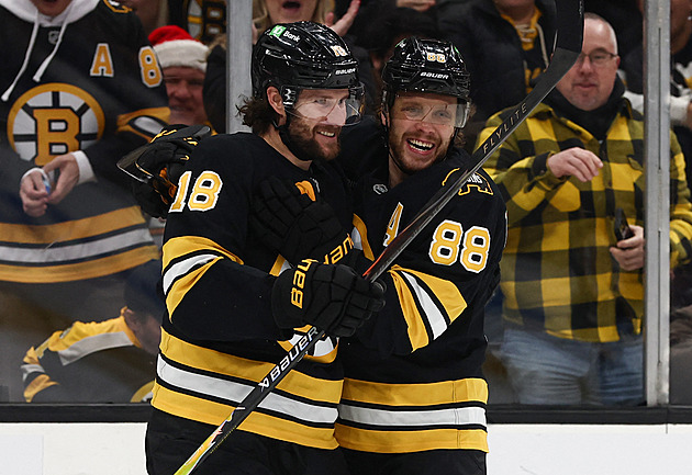 Vzhůru na nákupy! Boston věří v lepší časy, Pastrňák volá po posilách: Zasloužíme si je