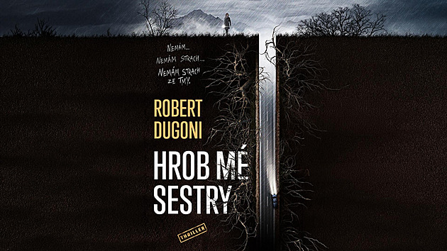 Vyšetřovatelka pátrá po vrazích vlastní sestry. Thriller v e-knize zdarma