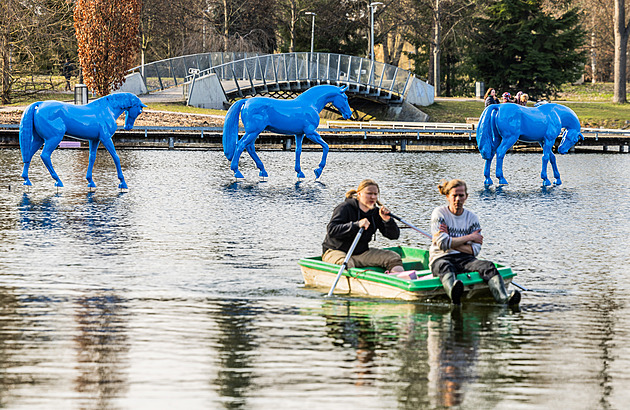 Jezírko ozdobily sochy modrých koní, senátor si k instalaci nevyřídil povolení