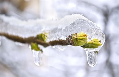 Do Česka se žene prudké ochlazení. Sníh bude i v nížinách, ukazuje mapa
