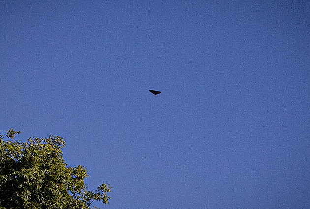 Estonskou elektrárnu nezasáhl ruský dron, ale ukrajinský. Mimořádně zasedla vláda