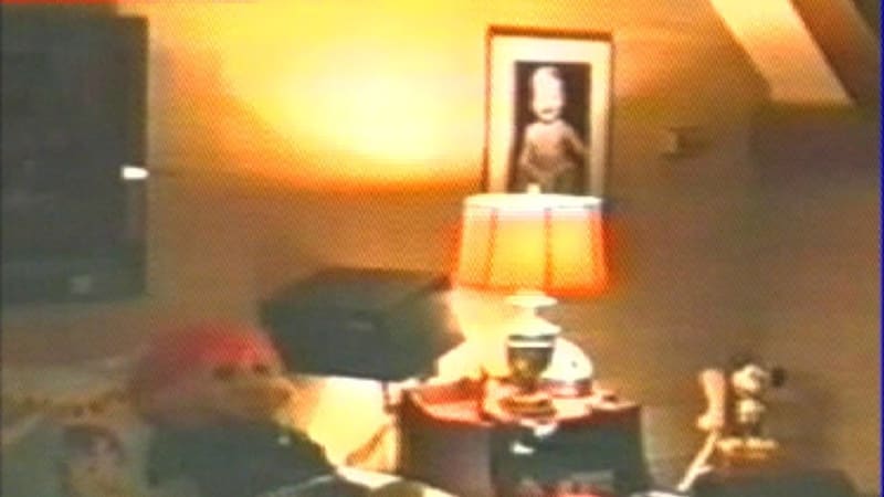 Porno, děsivé dětské sochy i hnijící jídlo. Detektivka popsala, co našla na Jacksonově ranči