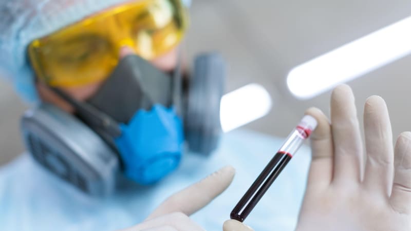 Hantavirus na výletní loď zřejmě zavlekl pár Nizozemců. Před cestou fotili ptáky na skládce