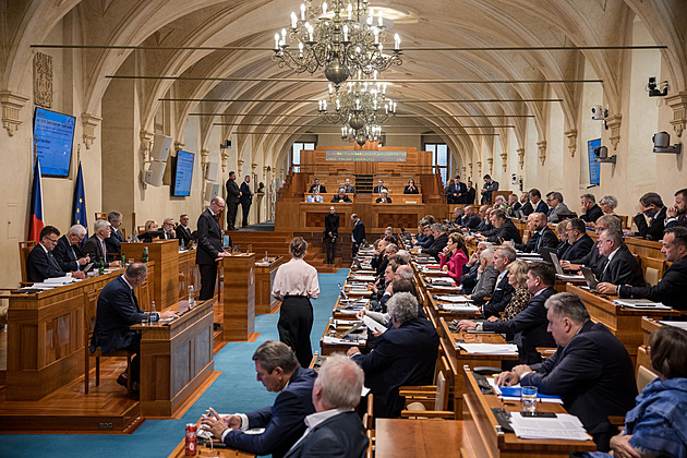 Zbytečné a ignorantské. Senátoři zamítli návrh zákona na zpřísnění změny pohlaví